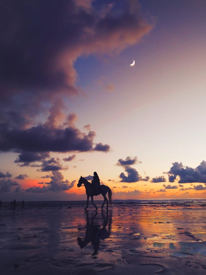 pexels-photo-1461441 Silhouette of a horse and rider against a stunning twilight sky on a beach in Mumbai.